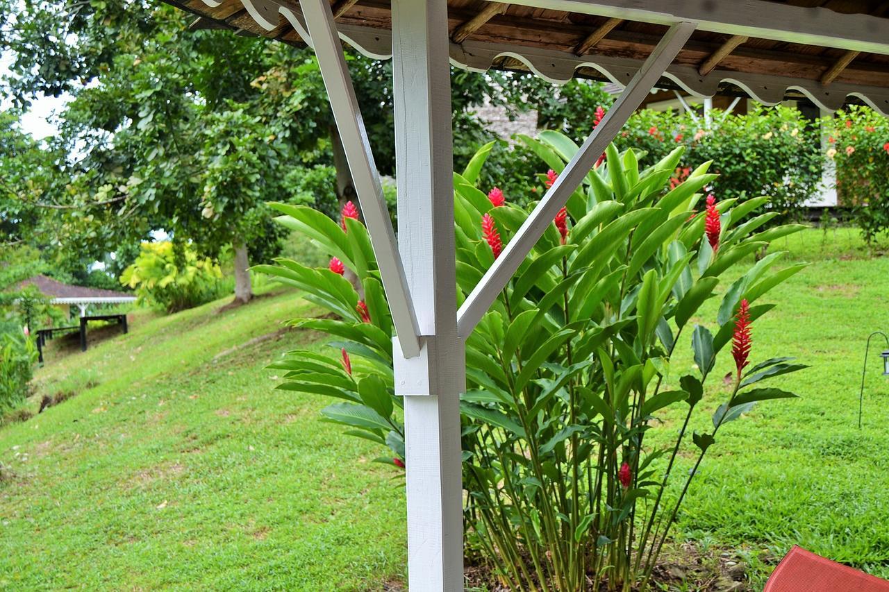 Nathylodge Bocas Town Exterior foto